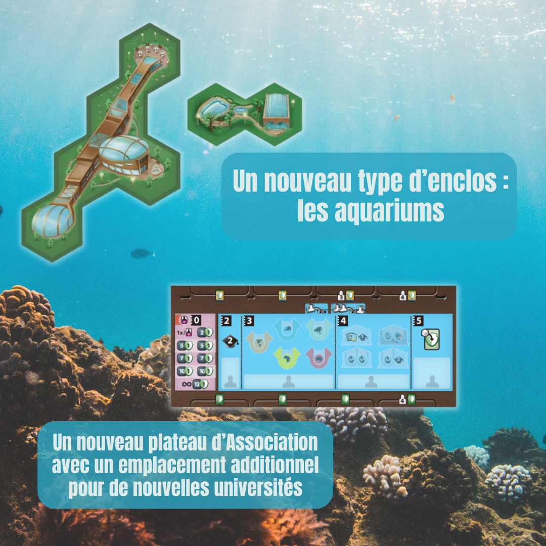 ARK NOVA – EXTENSION MONDES MARINS - Image 4