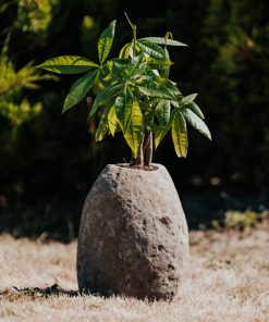 Stone plant pot – Planter, natural river – height 35/45 cm