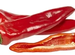 poivron rouge pointu doux ±500g