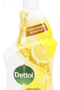 DETTOL Power&Fresh spray citron 750ml