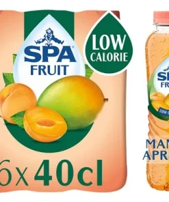 SPA FRUIT Non pétill. Mango-Apricot 40cl (1pc)